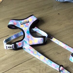 Colorful  pet Harness with Leash. Frenchie brand